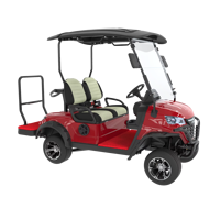 Voiture de club électrique à batterie au lithium de conception professionnelle personnalisée Offre Spéciale Mini voiturette de golf 2 places