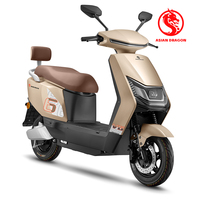 Vélo électrique 500W avec moteur arrière sans balais, batterie au plomb-acide 60V, cadre en acier au carbone 3 vitesses, frein à disque, léger, longue autonomie