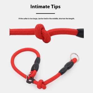 Hoge Kwaliteit Verstelbare Nylon Hondenhalsband Met Touw Riem Solide Patroon Voor Outdoor <span class=keywords><strong>Training</strong></span> Door Fabrikant Sap Huisdier - Product Image 3
