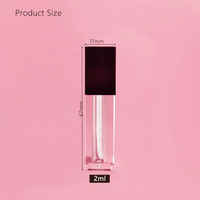 Vente en gros de tubes de brillant à lèvres vides noirs et transparents de 2ml avec logo personnalisé