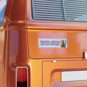 Imanes Divertidos y Reflectantes para Parachoques de Coche, con Diseños de Gatitos y Frases Divertidas, Pegatinas para Coche para Conductores Principiantes - Product Image 2