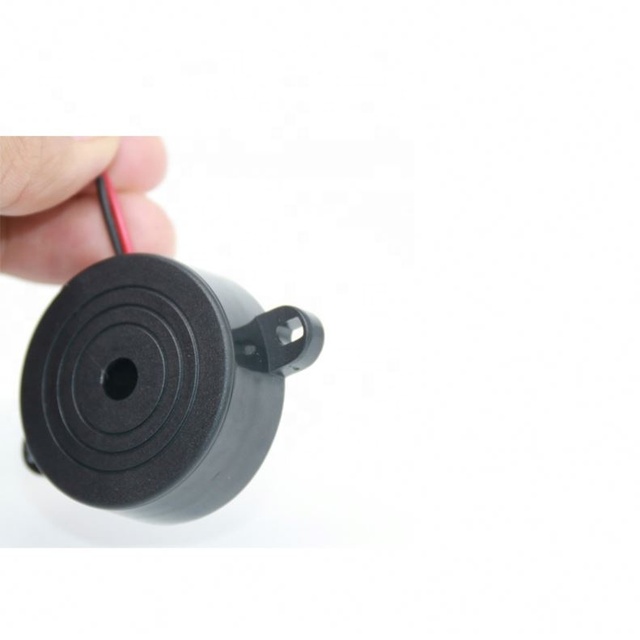 China Factory Pulsed Sound 4216 12v Alarm Buzzer