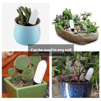 MLM Simple Capteur d'humidité du sol sans fil RF, Thermomètre Hygromètre Numérique, Moniteur de plantes, Testeur d'eau pour Jardin et Pelouse, ABS Chine