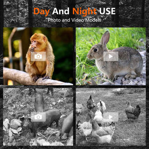 NV1000ナイトビジョン単眼4Kビデオ8xデジタルズーム300m IRナイトビジョンスコープ1.5インチスクリーンナイトビジョンデバイス狩猟用 - Product Image 6