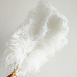 White Pluma Blance 55 <span class=keywords><strong>60Cm</strong></span> Lông Đà Điểu - Product Image 6