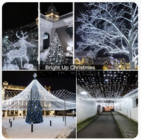 Guirlande lumineuse LED de Noël dimmable, conforme CE RoHS, prise 100-240V, blanc chaud, étanche IP65, pour extérieur, 8 modes, 10m 20m 30m
