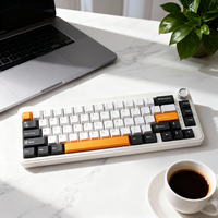Clavier mécanique sans fil à trois modes personnalisé OEM, clavier DIY 65% à échange à chaud, touches PBT colorées, clavier de jeu