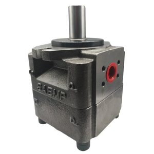 Bombas Hidráulicas, Bomba de Engranajes para Máquina de Fundición a Presión QT62-80F-BP-Z QT62-100 QT62-125, Bomba de Engranajes Internos, Bomba de Aceite, Hidráulica Japonesa - Product Image 3