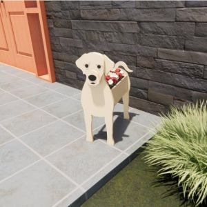 Labrador (jaune