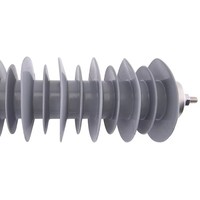 Système de protection contre les surtensions électriques 22kV 24kV 33kV 36kV, dispositif de protection contre la foudre pour la sécurité des réseaux électriques