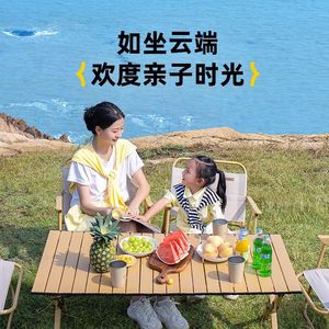 Silla Plegable para Exteriores, Silla Kermit, Silla de Playa Portátil, Silla Reclinable Plegable, Silla de Camping, Taburete de Pesca - Product Image 4