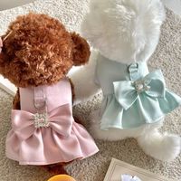 Robe de princesse en satin doux et mignon pour chiot, harnais pour chien avec laisse pour chiens de petite race
