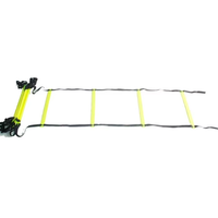 Sangles en nylon Échelle d'agilité pliante pour le football Échelles d'entraînement de vitesse en caoutchouc TPE Escaliers pour le développement des joueurs de football
