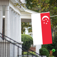 Drapeau de Singapour en gros personnalisé tous les pays drapeau national 3x5 FT extérieur suspendu fibre de polyester livraison rapide personnalisée