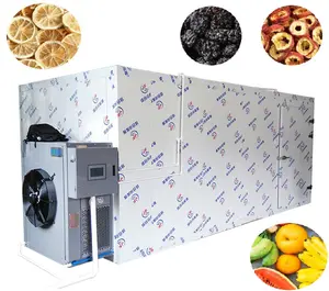 Heat Pump Grape Air Dryer Banana And Vegetable Mango Fruit Drying Machine Food Dehydrator