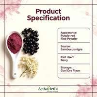Poudre de fruits d'églantier naturelle Sambucus Nigra, poudre de jus instantanée de baies rouges pour boissons, pâtisseries, qualité alimentaire, en fût