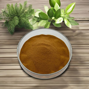 ผงสกัดจากชิกโครีธรรมชาติ - Product Image 5