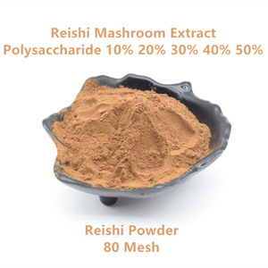 맞춤형 비건 친화적 수용성 차가 레이시 표고 버섯 사자의 갈기 버섯 추출물 분말 - Product Image 4