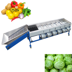 Máquina clasificadora y limpiadora de tomates de buen rendimiento, máquina clasificadora de tomates pequeños - Product Image 3