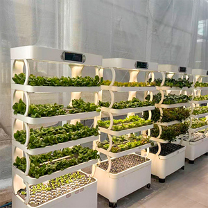 Skyplant Hydroponics Vertical Garden Planter Pump Plástico PP 4 capas 140 agujeros Nueva condición Incluye Motor de caja de cambios 6 meses - Product Image 3