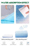 Tapis de propreté jetable et biodégradable pour chien, grande taille, anti-odeur, élégant, pour usage familial, petites commandes acceptées