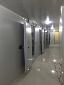 -35 độ chất lượng cao 20ft phòng lạnh container tùy chỉnh giải pháp di động phòng lạnh đi bộ trong tủ đông cho nhiệt độ thấp - Product Image 5