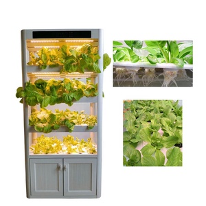 Agriculture Microgreen Aquaponics Indoor Vertical Hydroponic Growing Systems Planting Grow Vegetables Vegetable <b>Rack</b> Hydroponic - Product Image 2