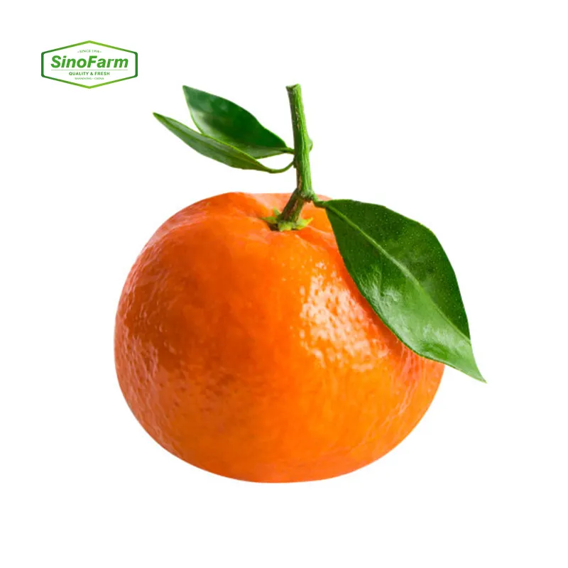 2023 New crop of Fresh Navel Orange Mandarin Orange fruit fresh from China for wholesale
