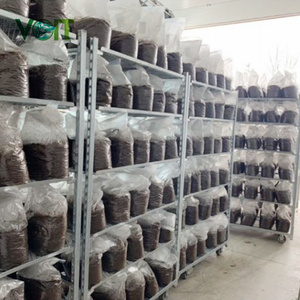 VOIT Xe Ngựa CC Euro Xe Đẩy Trồng Nấm Cho Vườn Ươm Hoa Danois - Product Image 6