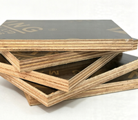 Panneaux de coffrage extérieurs modernes réutilisables de première qualité E1, 9 plis, haute résistance, sans formaldéhyde, 21 mm et 27 mm