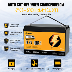 Rvpozwer <b>12v</b> 24v 48v 100ah 200ah 300ah Deep Cycle Energy Storage <b>Battery</b> Pack with BMS 3-Year Warranty 4000-Cycle - Product Image 3
