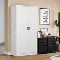 Armoire de rangement en acier moderne à 2 portes, meuble polyvalent pour la maison, solutions de rangement pour la chambre, la cuisine ou le bureau