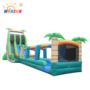 WINSUN Grand toboggan gonflable tropical commercial Toboggan vert ou toboggan sec Extérieur Gonflable Long Double Toboggan aquatique pour les enfants - Product Image 1