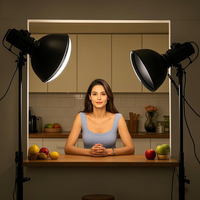 Kit d'éclairage pour diffusion en direct 2 pièces, 200W LED avec boîte à lumière et trépied pour la diffusion de contenu culinaire, beauté et en petits espaces
