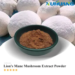 High Quality Best Purity Hericium Erinaceus Extract Powder Lion's Mane Extract
