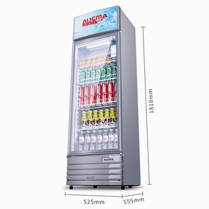 Réfrigérateur vertical à porte vitrée grande capacité pour boissons fraîches, idéal pour les magasins de détail et les dépanneurs - Product Image 2