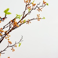 Kunstfruit, uit de bergen, rode kleine bessen, kunstmatige fruittakken in Chinese stijl, woondecoratie