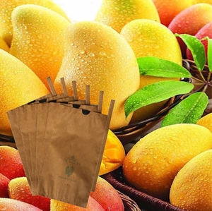 <span class=keywords><strong>Sacs</strong></span> en papier pour la protection des mangues, <span class=keywords><strong>sacs</strong></span> de protection pour la culture des fruits, <span class=keywords><strong>sacs</strong></span> de protection pour les mangues - Product Image 4