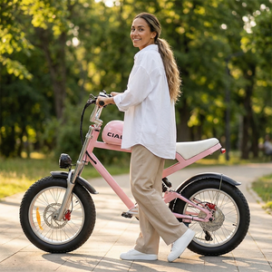 जिली 48 वी 750w 19.2 आह इलेक्ट्रिक बाइक रेट्रो स्टीम पंक ईबाइक मोपेड शैली इलेक्ट्रिक बाइक विंटेज गुलाबी साइकिल - Product Image 2