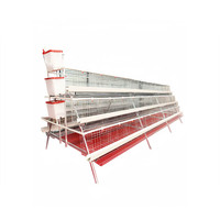 500 Cages pour poules pondeuses Cage pour poulets de chair