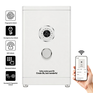 CEQSAFE Coffre-fort dissimulé robuste YUTA personnalisé en usine, antivol, pour argent, avec serrure électronique numérique - Product Image 1