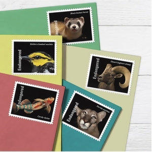 Estampillas Postales Eternas de EE. UU. 2025, Rollo de 100 Unidades, Estampillas Postales con la Bandera Americana, Estampillas Eternas <span class=keywords><strong>para</strong></span> Correspondencia - Product Image 3