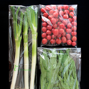 Fresh vegetable clear plastic bag for vegetable with self adhesive