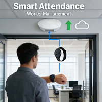 Beacon BLE programmable OEM avec intervalle de diffusion de 1 seconde, indice IP66, portée de diffusion de 70 m, fonctionnalités complètes de présence intelligente et bracelet en silicone