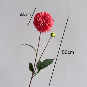 Y-H101 Vente en gros de fleurs de <span class=keywords><strong>dahlia</strong></span> au toucher réel, <span class=keywords><strong>dahlia</strong></span> à 2 têtes, décoration de mariage, décoration de la maison, <span class=keywords><strong>fleur</strong></span> en soie, <span class=keywords><strong>fleur</strong></span> artificielle - Product Image 5