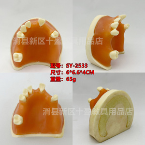 Modelo de Implante Dental, Simulador de Levantamiento de Seno Maxilar, Modelo de Entrenamiento con Encía Suave, 6x7.2x2.7cm, 67g - Product Image 3