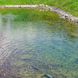 Probióticos EM para Acuicultura, Microbios <span class=keywords><strong>de</strong></span> Grado Alimenticio para Acuicultura en Agua <span class=keywords><strong>de</strong></span> Mar, Promueven el Crecimiento Saludable, Nutrición, Residuos Orgánicos - Product Image 5