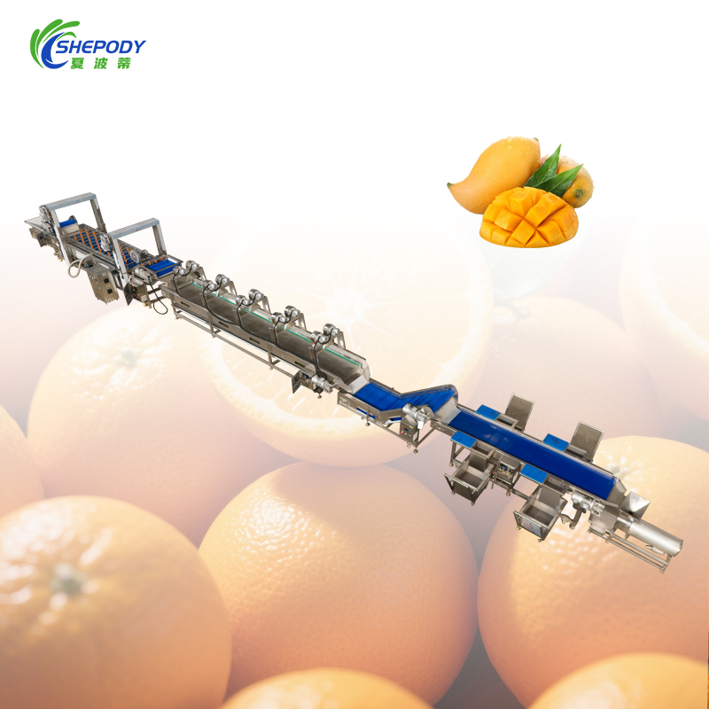 High Pressure Surfing Fruit Washing Machine