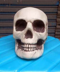 Vari stili <span class=keywords><strong>di</strong></span> Halloween testa <span class=keywords><strong>di</strong></span> teschio <span class=keywords><strong>di</strong></span> <span class=keywords><strong>sangue</strong></span> rosso e layout <span class=keywords><strong>di</strong></span> scena <span class=keywords><strong>di</strong></span> scheletro <span class=keywords><strong>di</strong></span> cadavere secco - Product Image 3