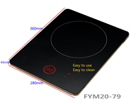 Table de cuisson à induction 2000W à commande tactile intelligente avec écran de projection, minuteur et verrouillage enfant pour une cuisson rapide